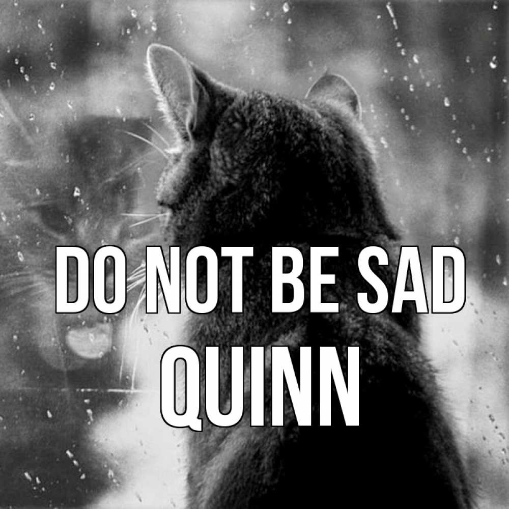Greetings card с именем, Quinn Do not be sad отражение кота 1 Greetings with text for free download 