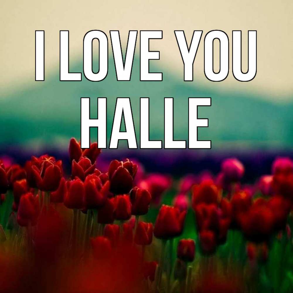 Greetings card с именем, Halle I love you тюльпаны 4 Greetings with text for free download 