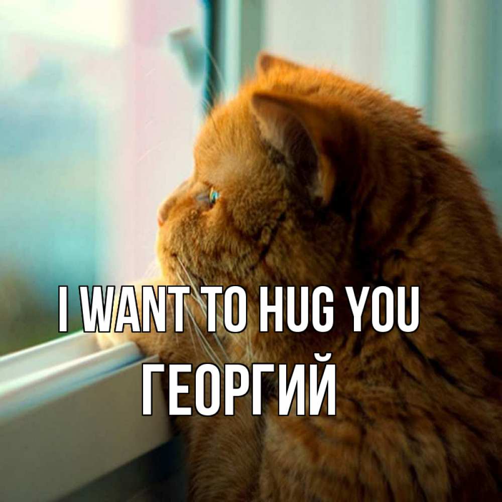 Greetings card с именем, Георгий I want to hug you большой огромный рыжий котяра Greetings with text for free download 