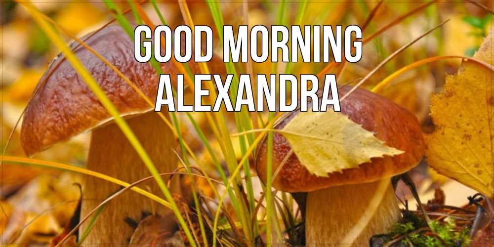 Greetings card с именем, Alexandra Good morning осенние грибы Greetings with text for free download 