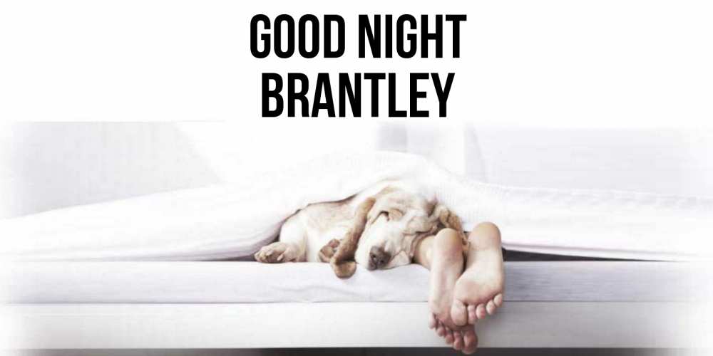 Greetings card с именем, Brantley Good night кровать с собакой пожелание сладких снов и спокойной ночи Greetings with text for free download 