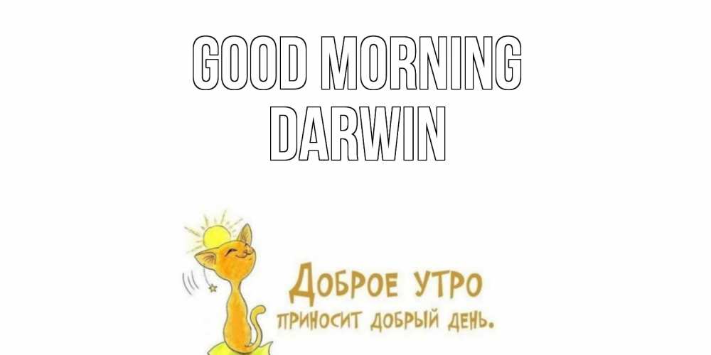 Greetings card с именем, Darwin Good morning кот, солнце Greetings with text for free download 