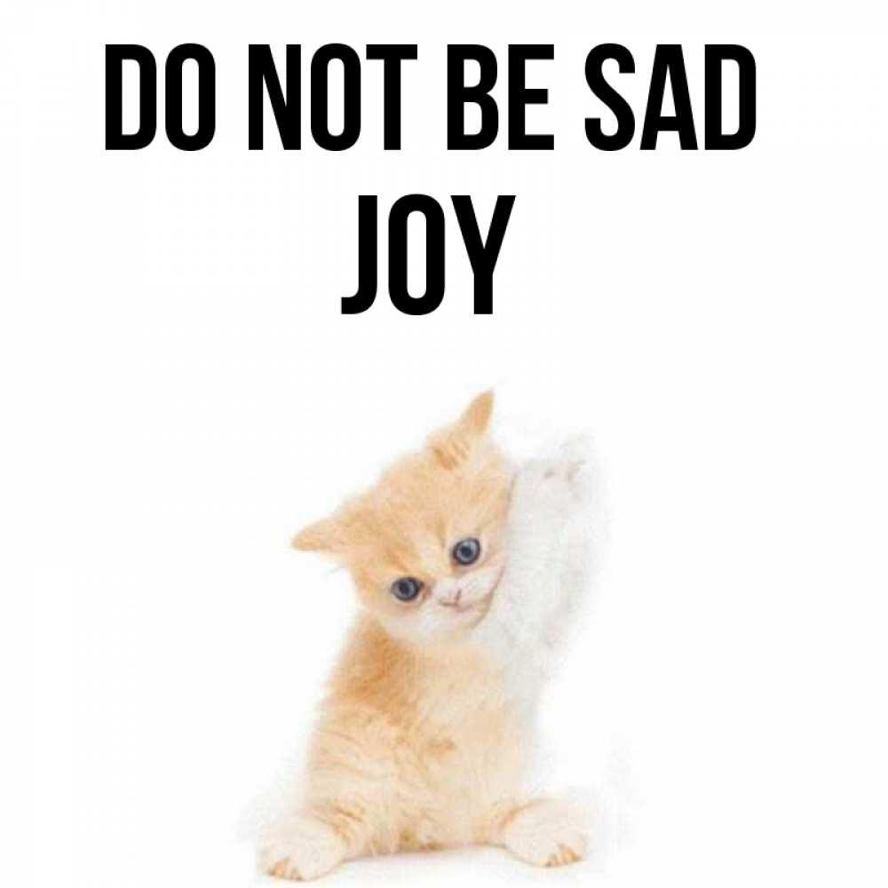Greetings card с именем, Joy Do not be sad просящий кот Greetings with text for free download 