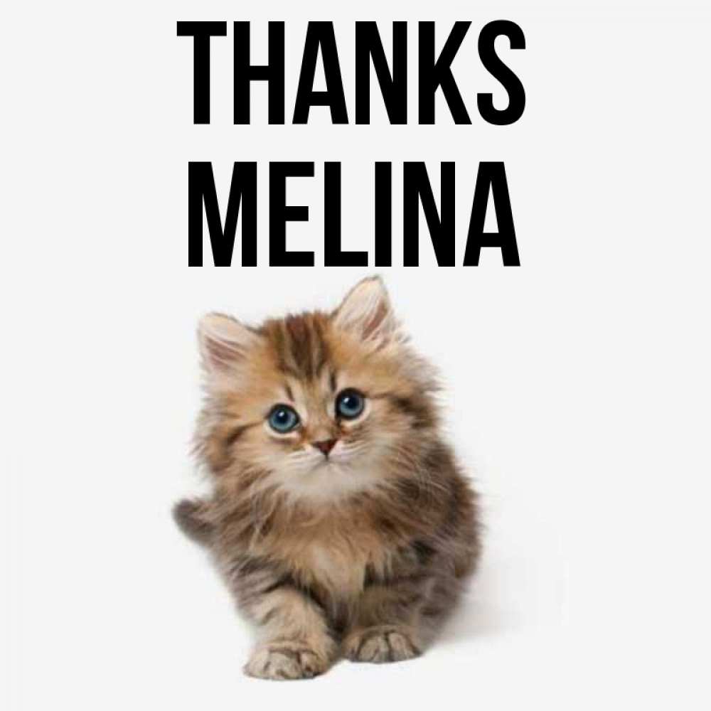 Greetings card с именем, Melina Thanks пушистый котик Greetings with text for free download 