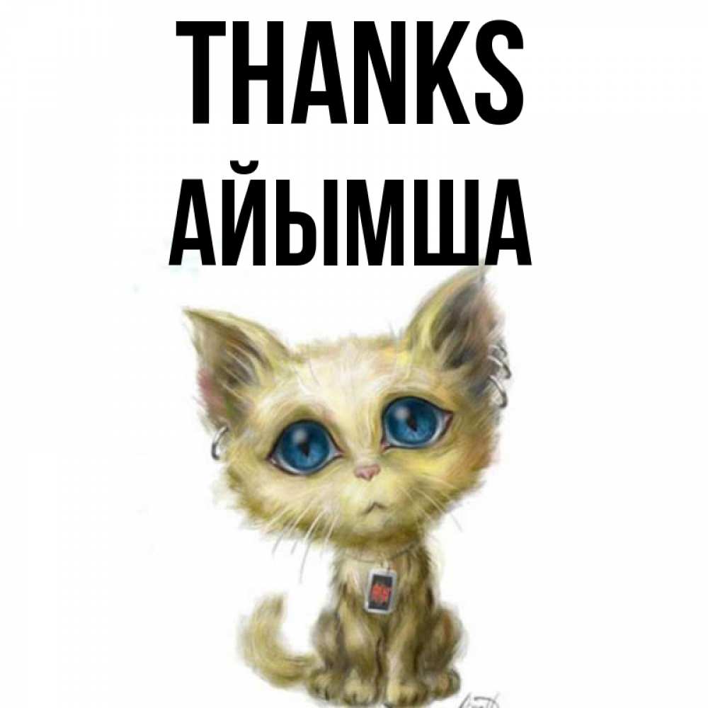 Greetings card с именем, АЙЫМША Thanks рисованный кот благодарит вас Greetings with text for free download 