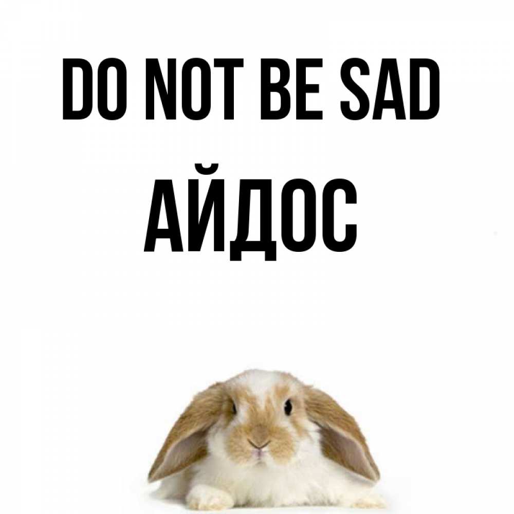 Greetings card с именем, Айдос Do not be sad коричнево белый заяц с большими ушками Greetings with text for free download 