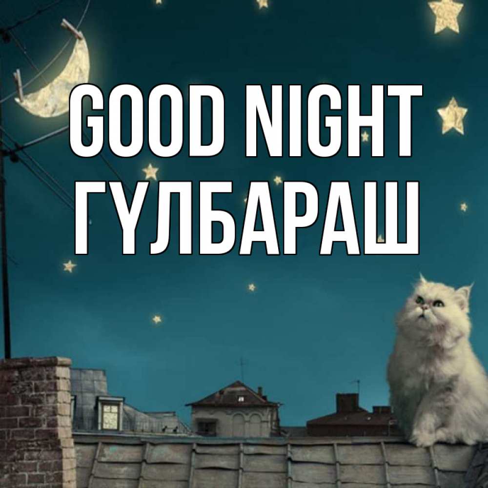 Greetings card с именем, ГҮЛБАРАШ Good night белый кот сидит на крыше Greetings with text for free download 
