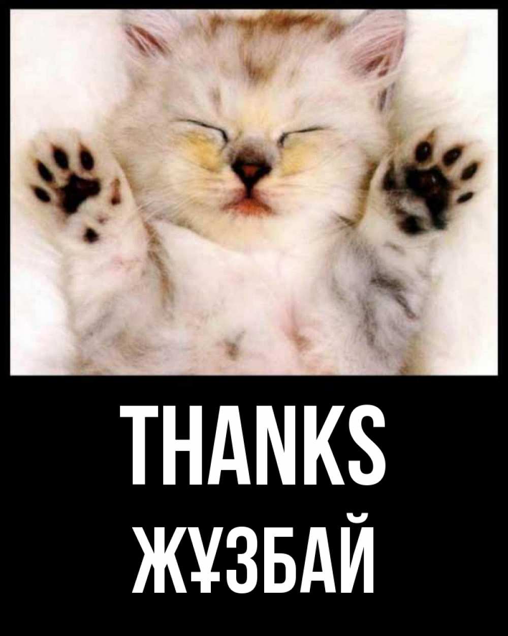 Greetings card с именем, Жұзбай Thanks маленький котенок Greetings with text for free download 