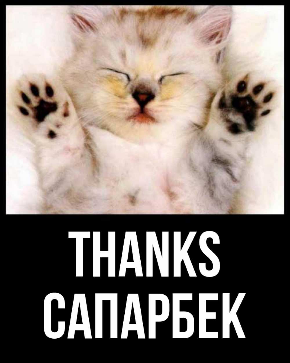 Greetings card с именем, САПАРБЕК Thanks маленький котенок Greetings with text for free download 