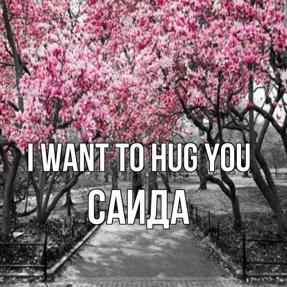 Greetings card с именем, Саида I want to hug you обработанное фото Greetings with text for free download 