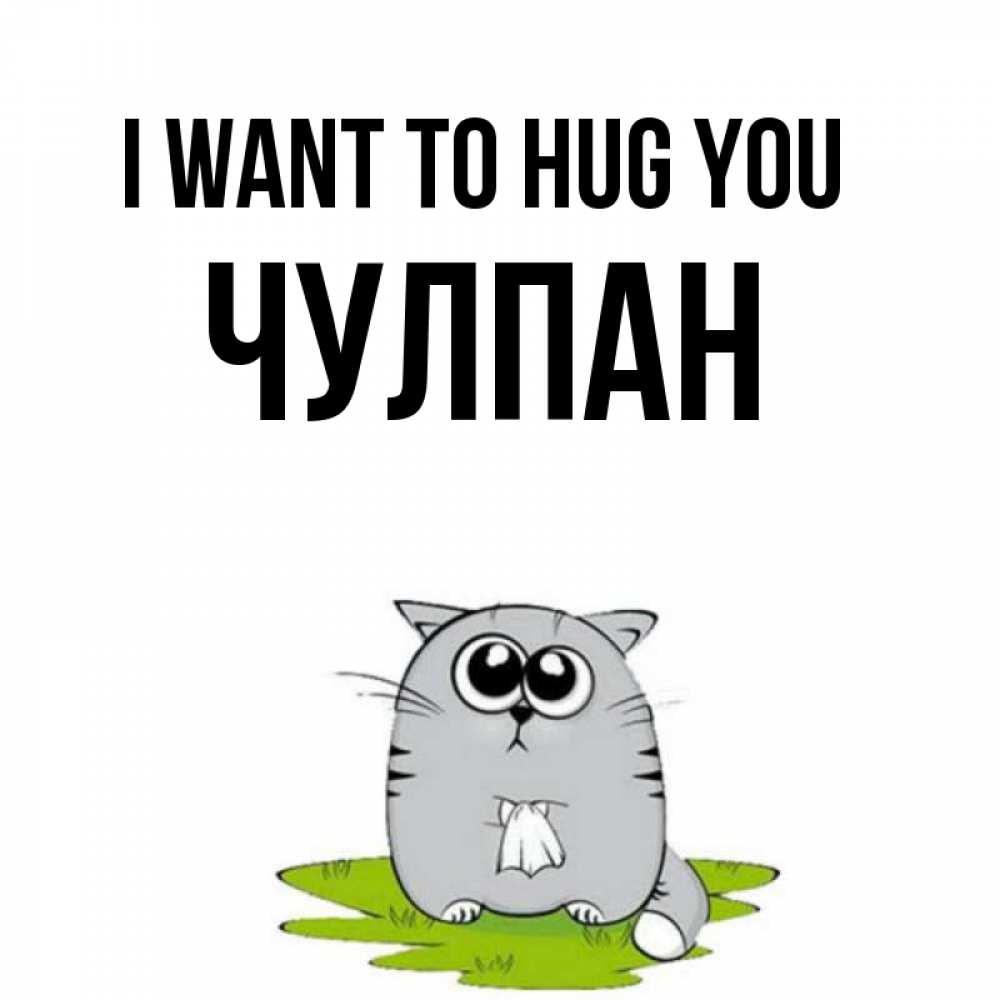 Greetings card с именем, Чулпан I want to hug you котик теребит платочек сидя на травке Greetings with text for free download 