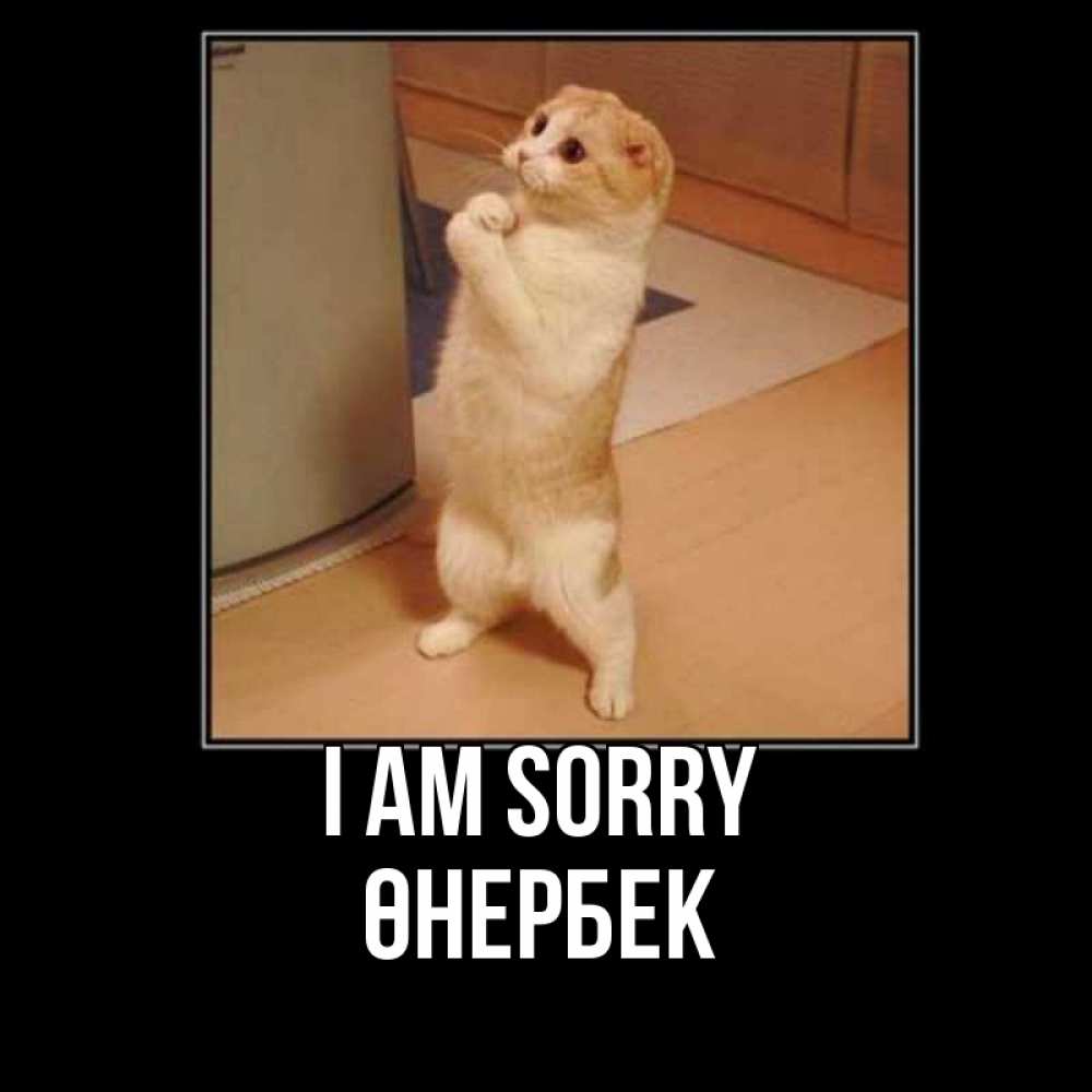 Greetings card с именем, ӨНЕРБЕК I am sorry открытка с милым несчастным котиком просящим прощения Greetings with text for free download 