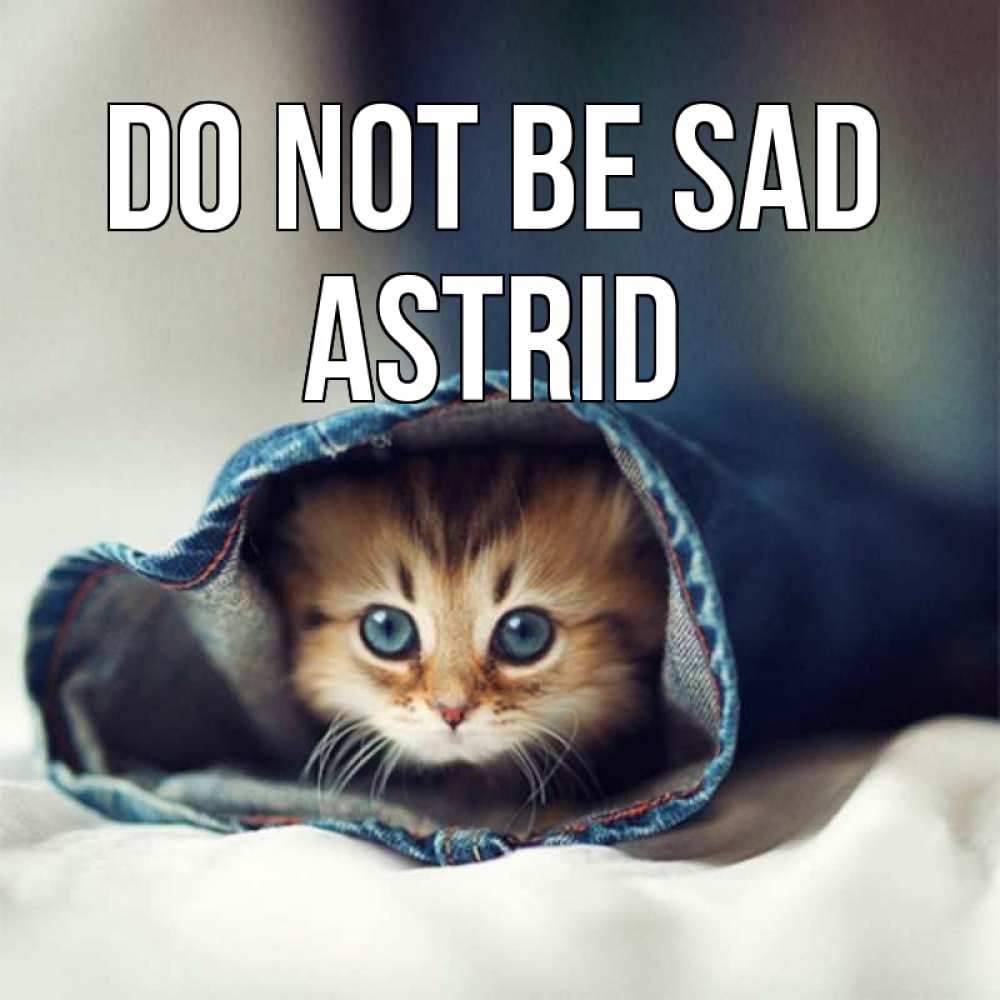 Greetings card с именем, Astrid Do not be sad кот в одежде Greetings with text for free download 