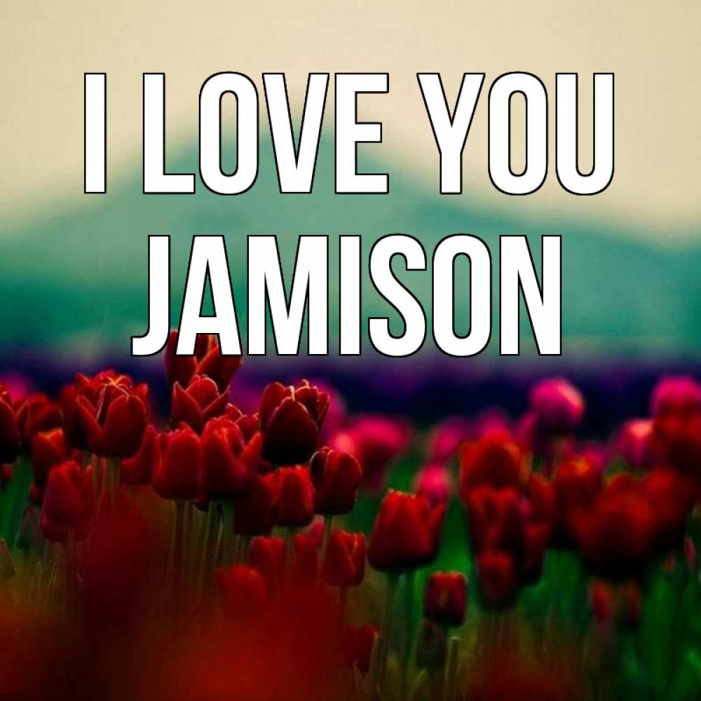 Greetings card с именем, Jamison I love you тюльпаны 4 Greetings with text for free download 