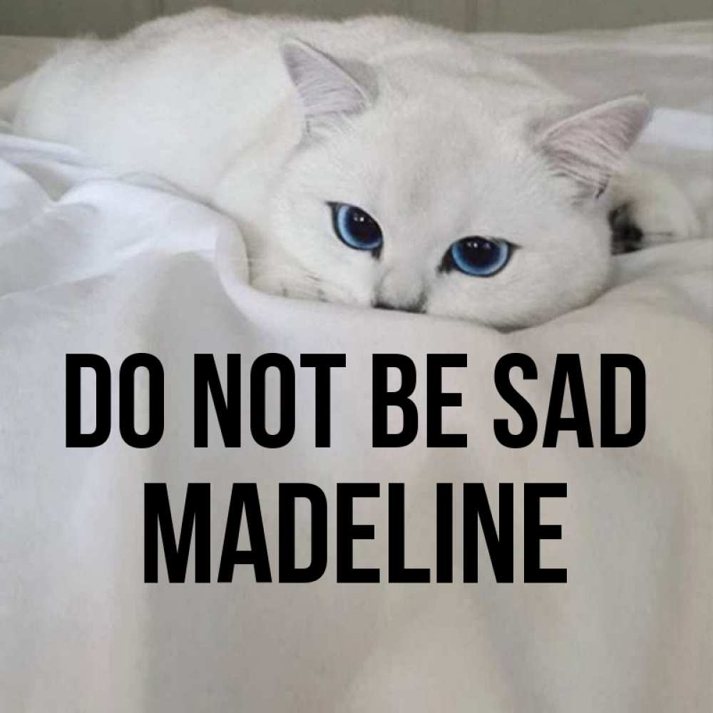 Greetings card с именем, Madeline Do not be sad Голубоглазая кошка Greetings with text for free download 