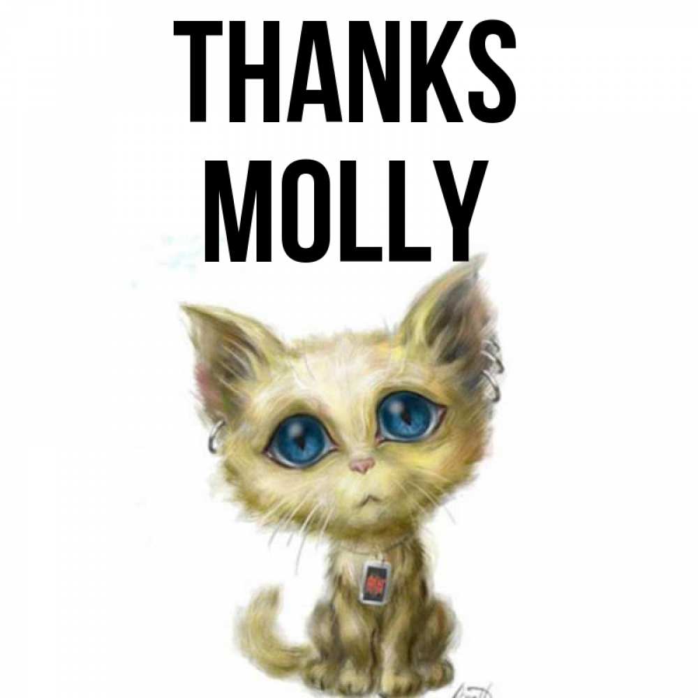 Greetings card с именем, Molly Thanks рисованный кот благодарит вас Greetings with text for free download 
