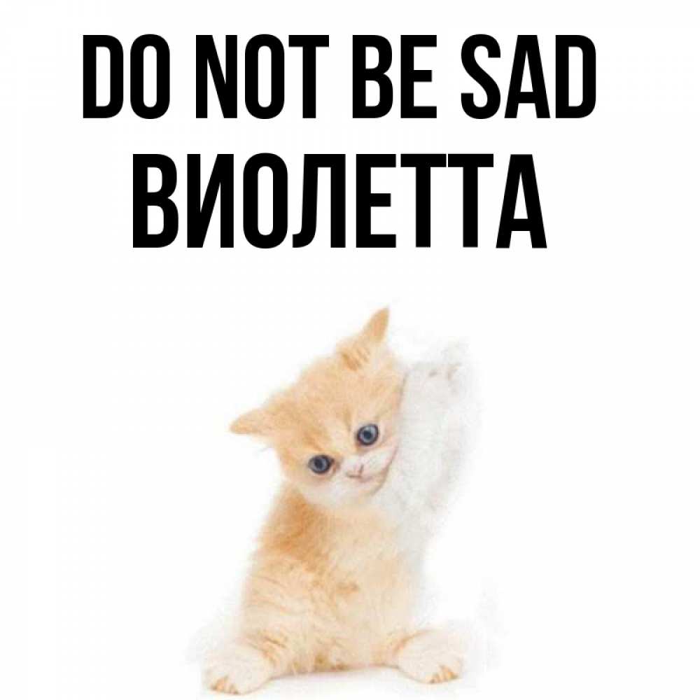 Greetings card с именем, Виолетта Do not be sad просящий кот Greetings with text for free download 