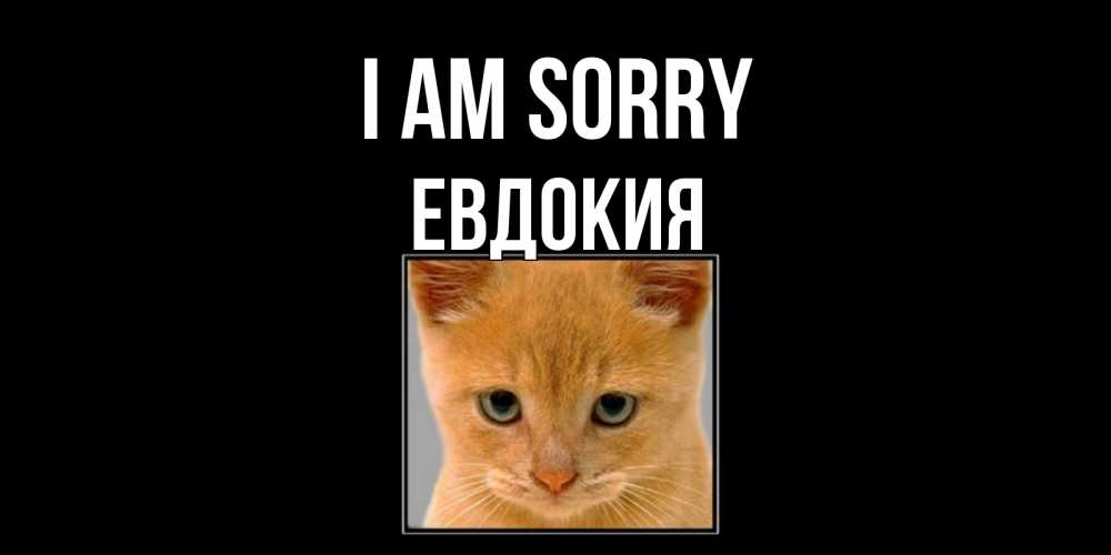 Greetings card с именем, Евдокия I am sorry рыжий грустный кот просит прощения Greetings with text for free download 