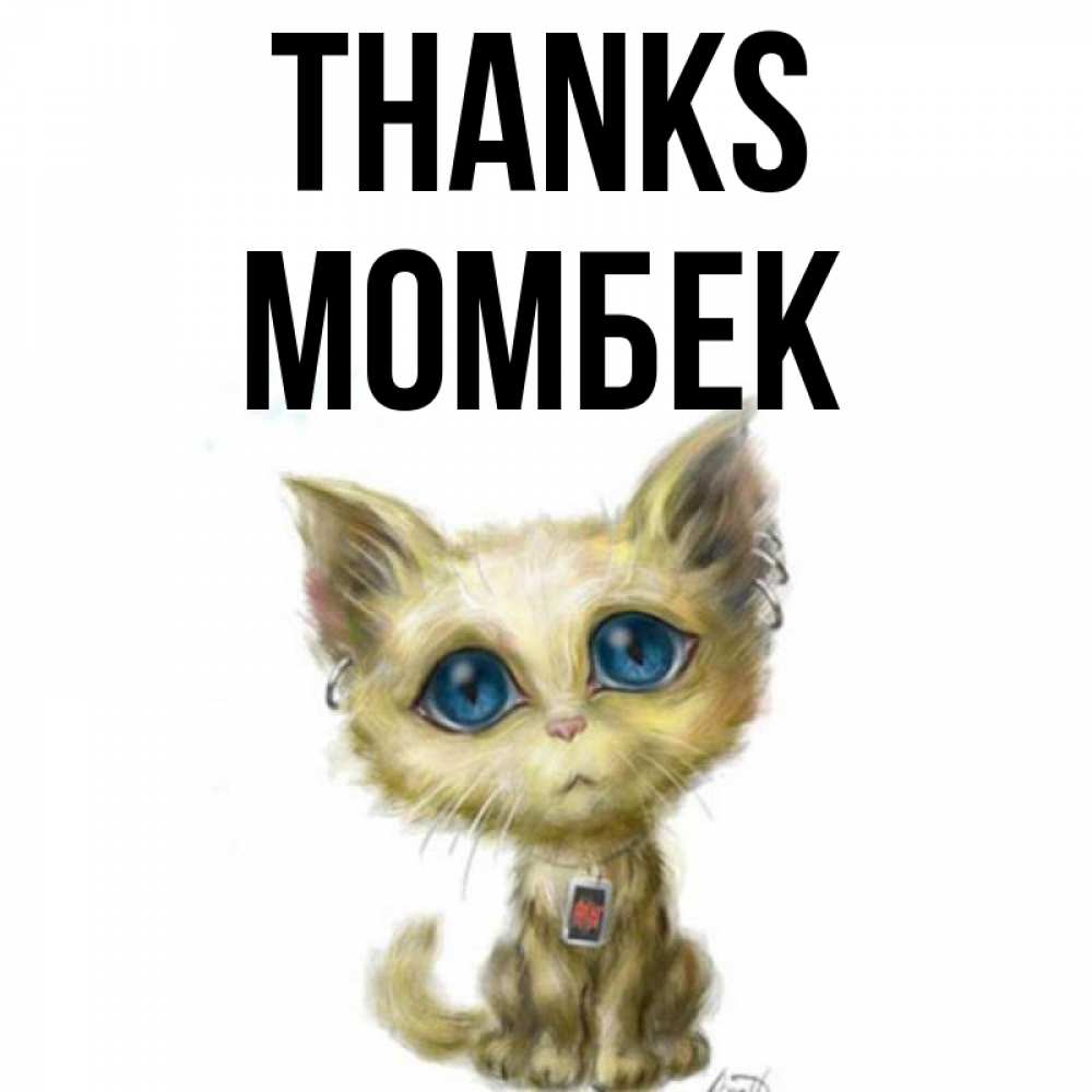 Greetings card с именем, МОМБЕК Thanks рисованный кот благодарит вас Greetings with text for free download 
