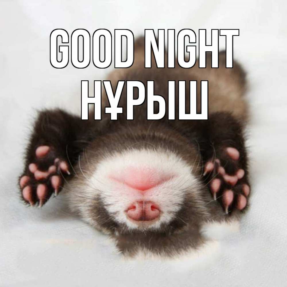 Greetings card с именем, Нұрыш Good night зверек Greetings with text for free download 