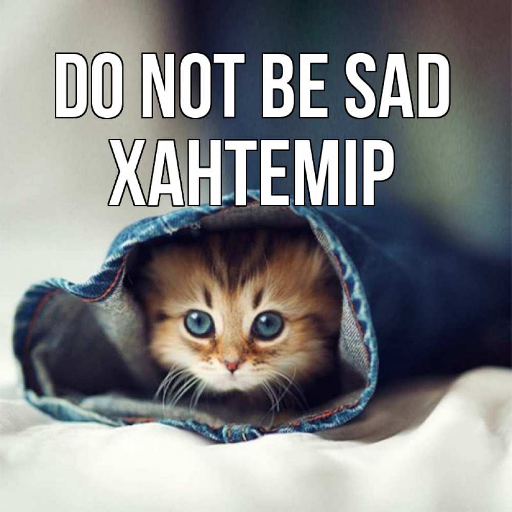 Greetings card с именем, ХАНТЕМІР Do not be sad кот в одежде Greetings with text for free download 