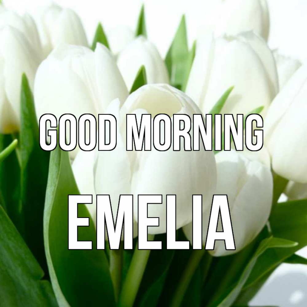 Greetings card с именем, Emelia Good morning открытки на каждый день по именам Greetings with text for free download 