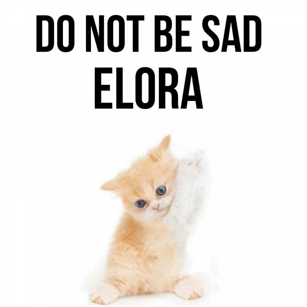 Greetings card с именем, Elora Do not be sad просящий кот Greetings with text for free download 
