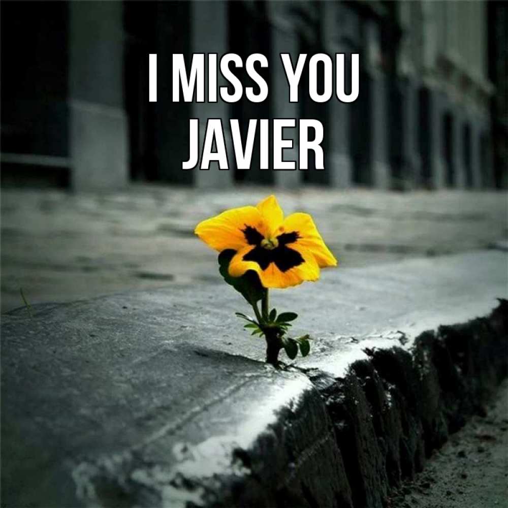 Greetings card с именем, Javier I miss you надеюсь будет лучше Greetings with text for free download 