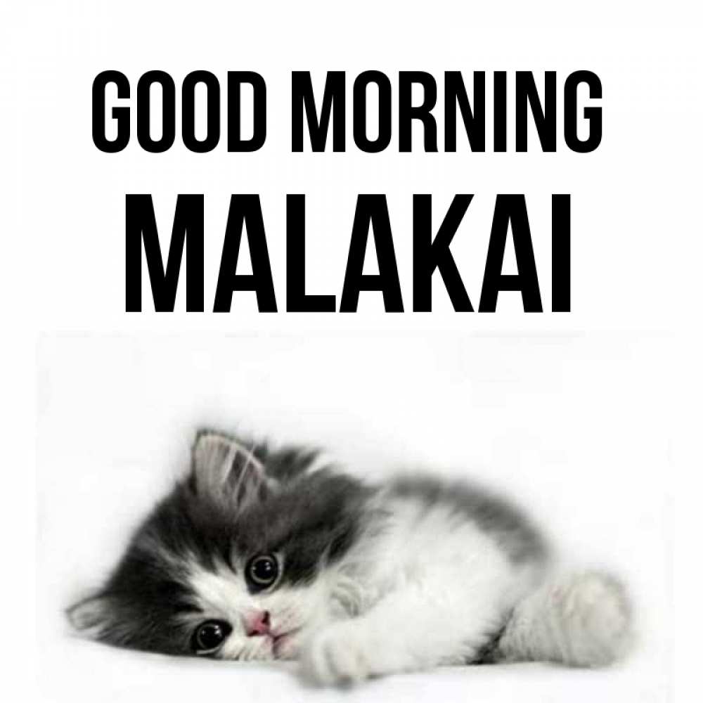 Greetings card с именем, Malakai Good morning кот лапки Greetings with text for free download 