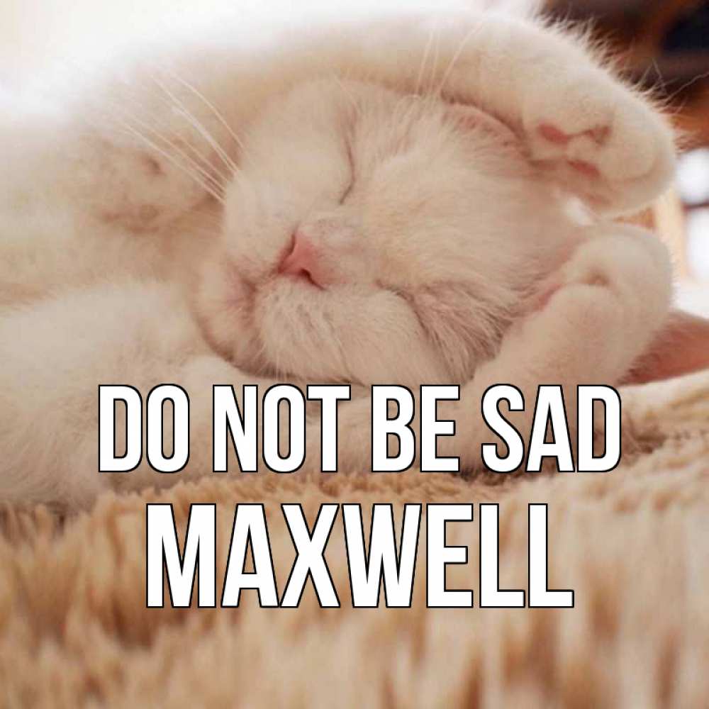 Greetings card с именем, Maxwell Do not be sad белый кот Greetings with text for free download 