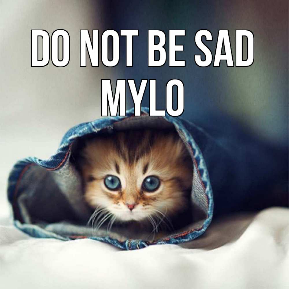Greetings card с именем, Mylo Do not be sad кот в одежде Greetings with text for free download 