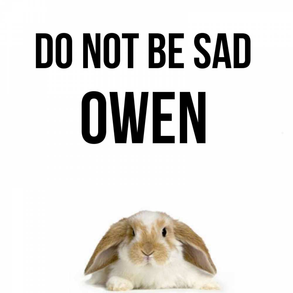 Greetings card с именем, Owen Do not be sad коричнево белый заяц с большими ушками Greetings with text for free download 