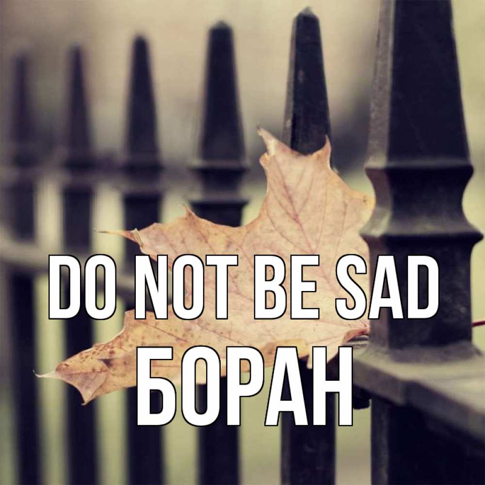 Greetings card с именем, Боран Do not be sad лист клена Greetings with text for free download 