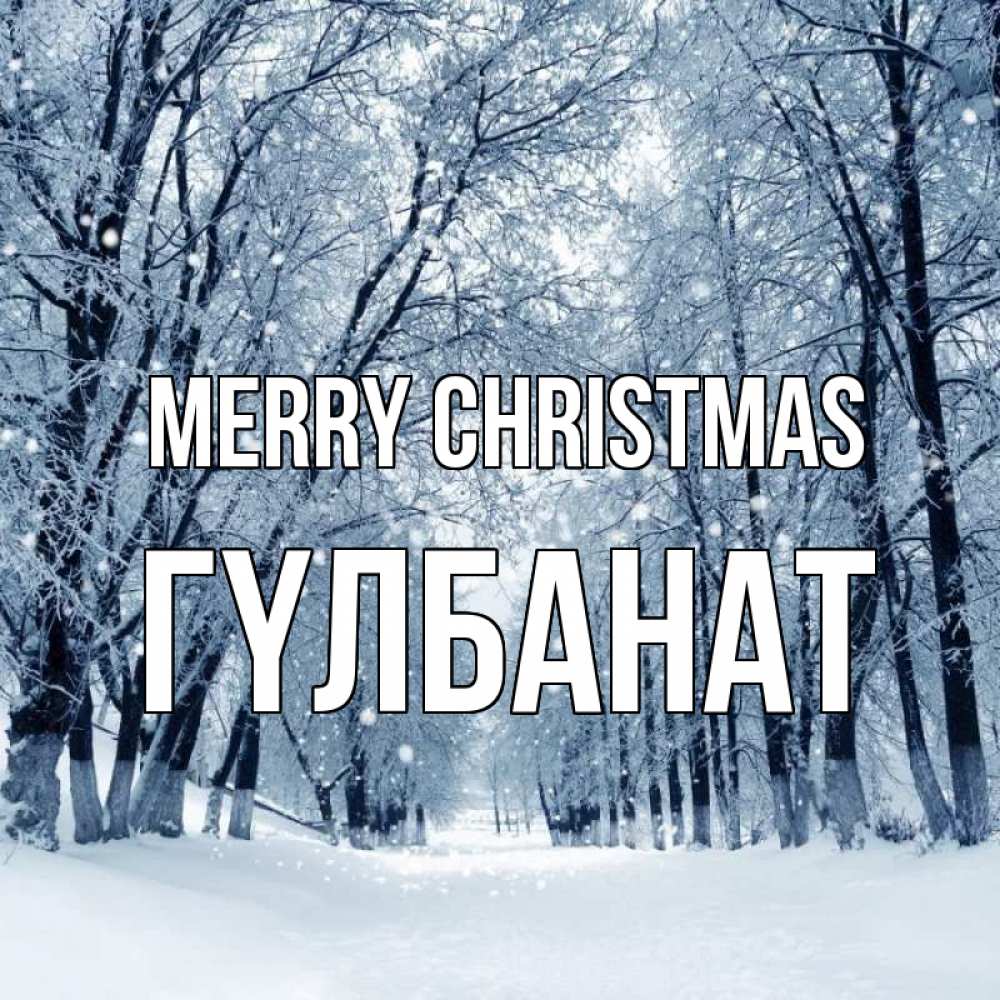 Greetings card с именем, ГҮЛБАНАТ Merry Christmas снег, лес, парк Greetings with text for free download 