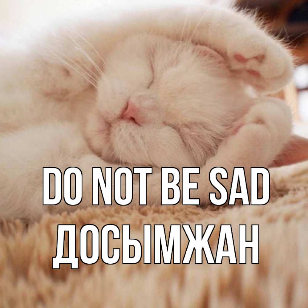 Greetings card с именем, Досымжан Do not be sad белый кот Greetings with text for free download 