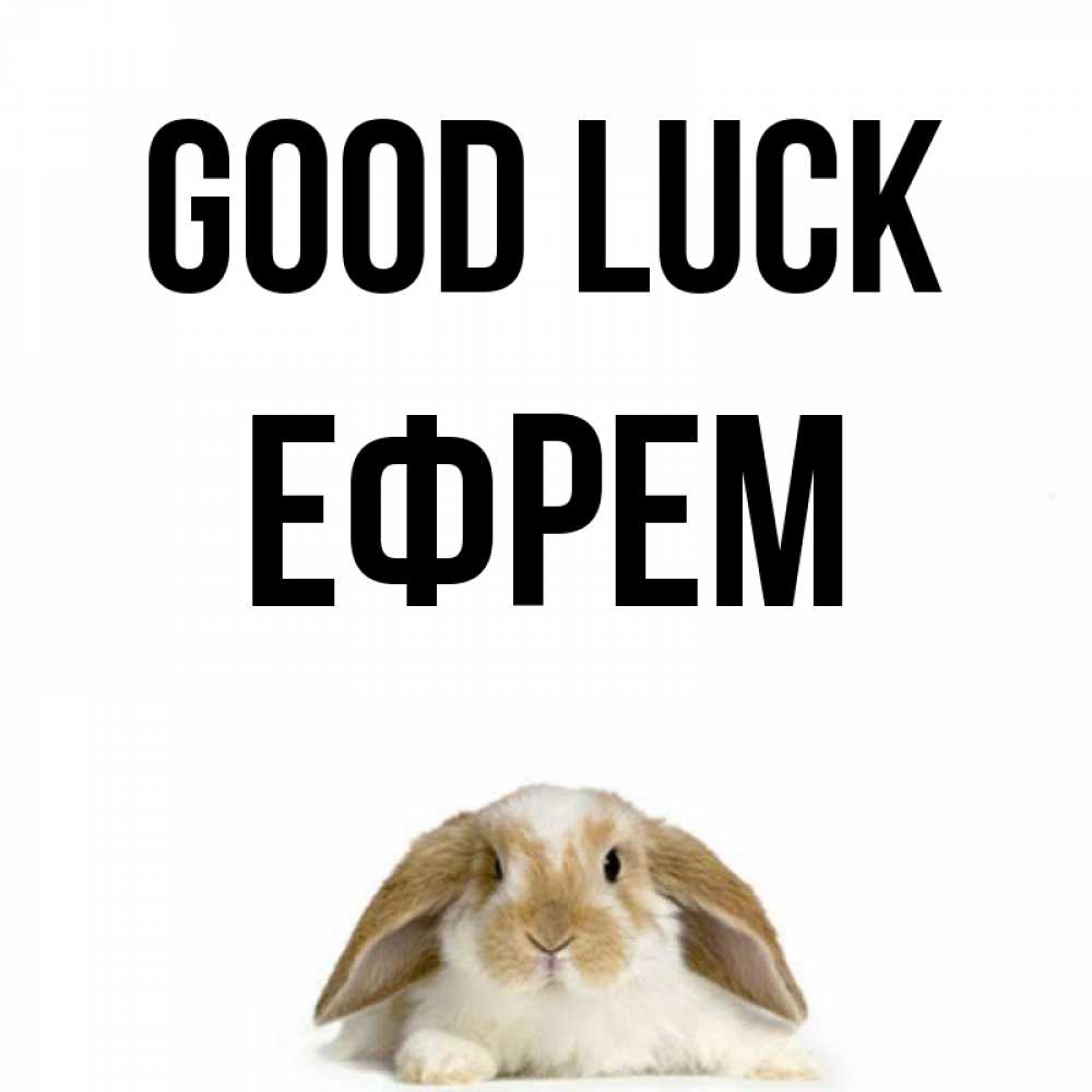 Greetings card с именем, Ефрем Good luck открытки с произвольным текстом который можно вставить в открытку и создать ее самостоятельно бесплатно онлайн Greetings with text for free download 