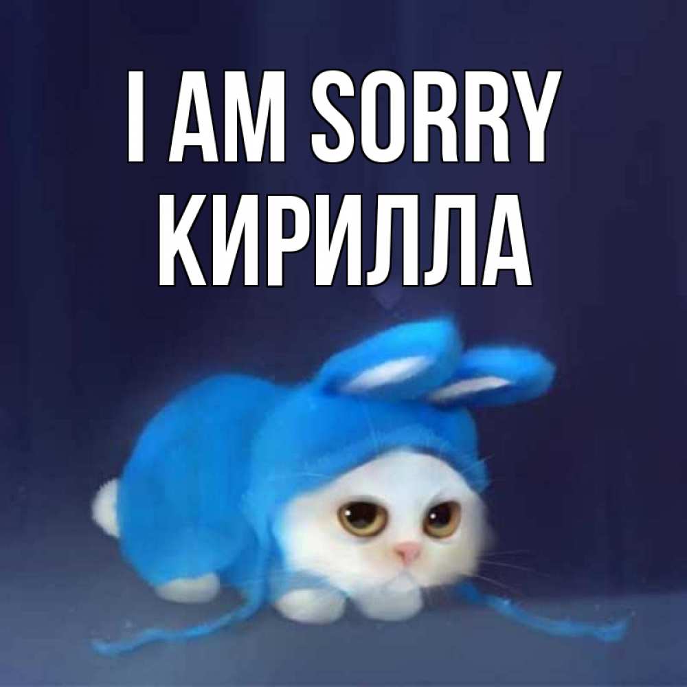 Greetings card с именем, Кирилла I am sorry невинный котозай просит прощения Greetings with text for free download 