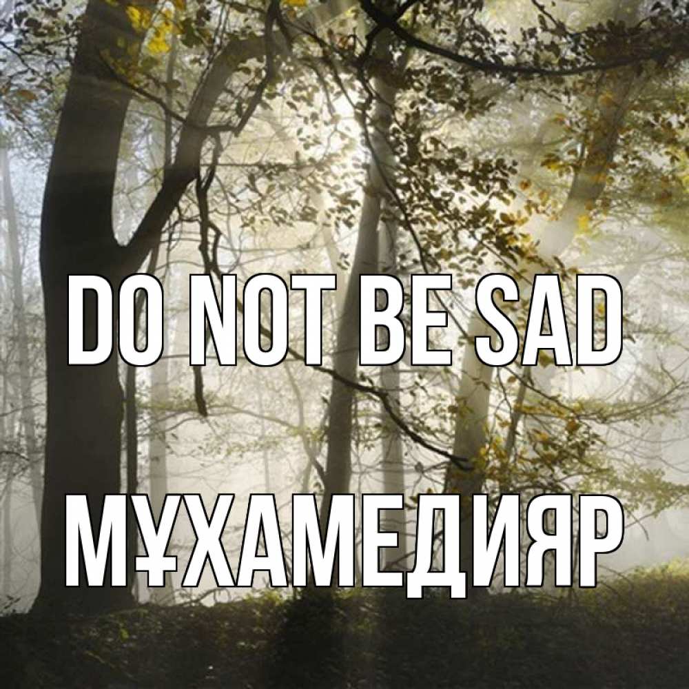 Greetings card с именем, МҰХАМЕДИЯР Do not be sad лес и свет Greetings with text for free download 