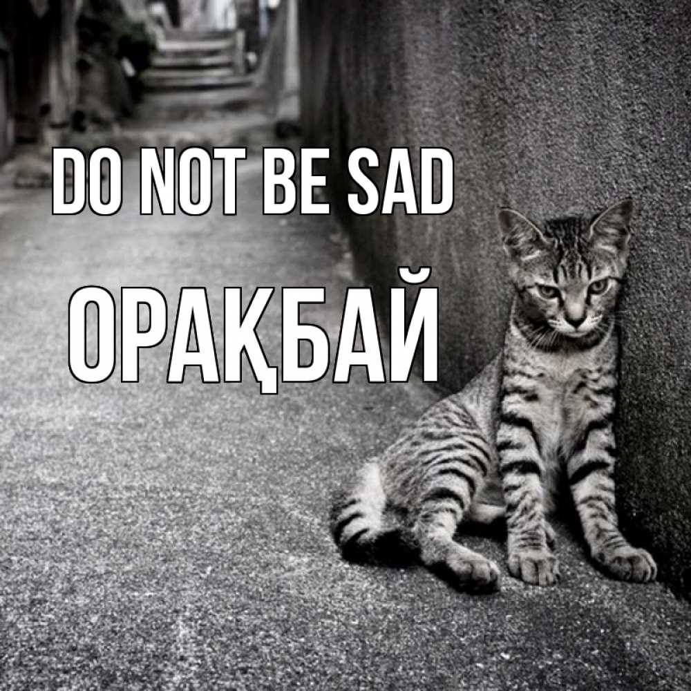 Greetings card с именем, ОРАҚБАЙ Do not be sad скучающий котик Greetings with text for free download 