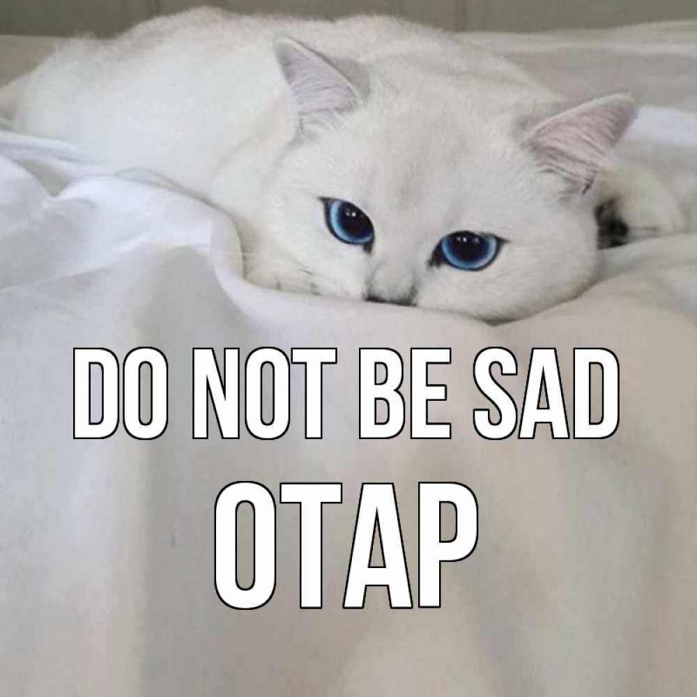 Greetings card с именем, ОТАР Do not be sad белый кот с голубыми глазами на белоснежной кровати Greetings with text for free download 