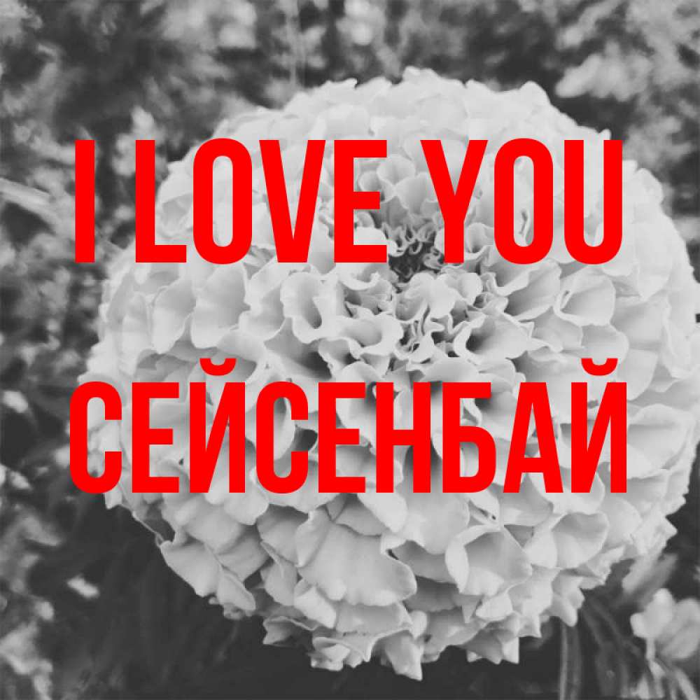 Greetings card с именем, СЕЙСЕНБАЙ I love you подпись Greetings with text for free download 
