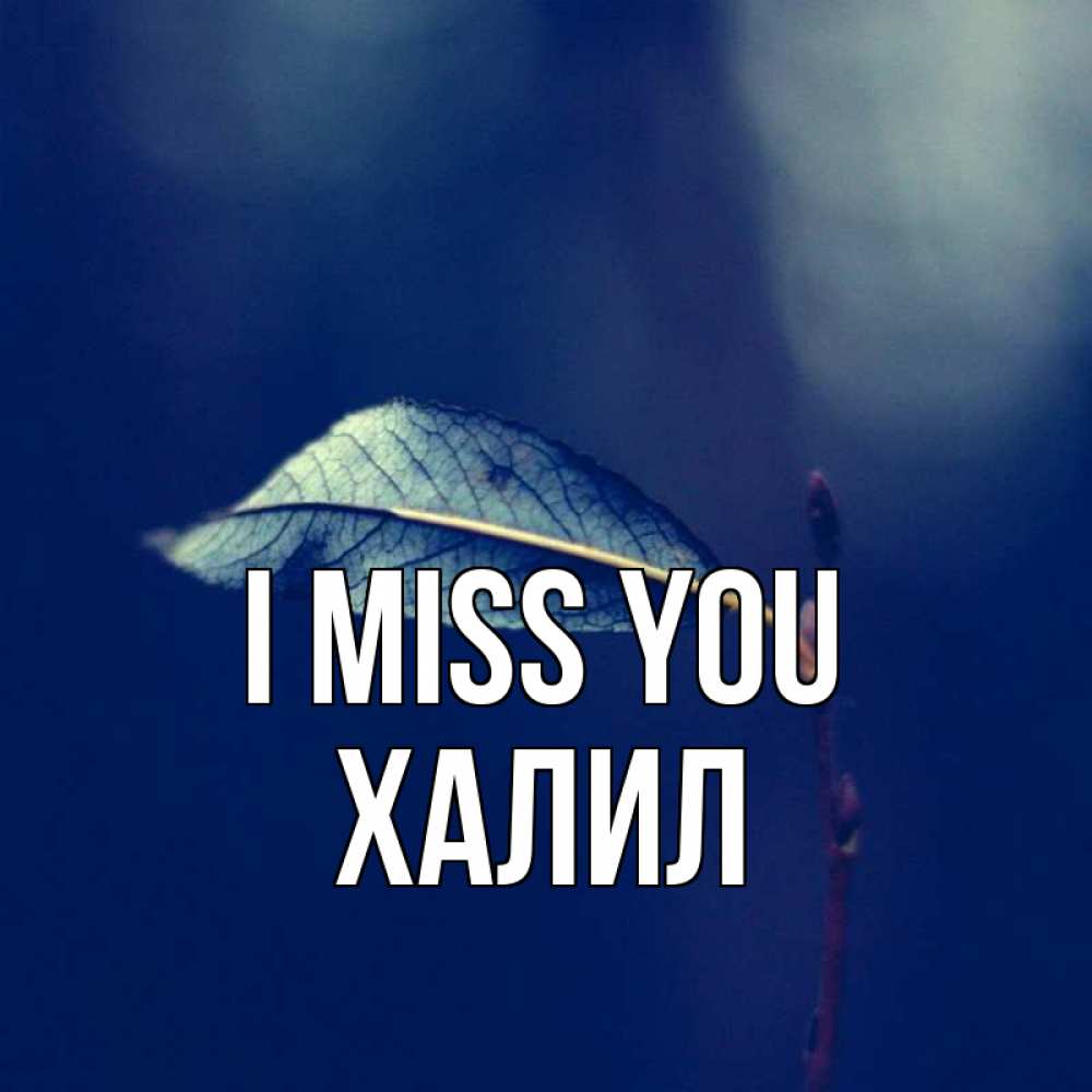 Greetings card с именем, ХАЛИЛ I miss you одна ветка 1 Greetings with text for free download 