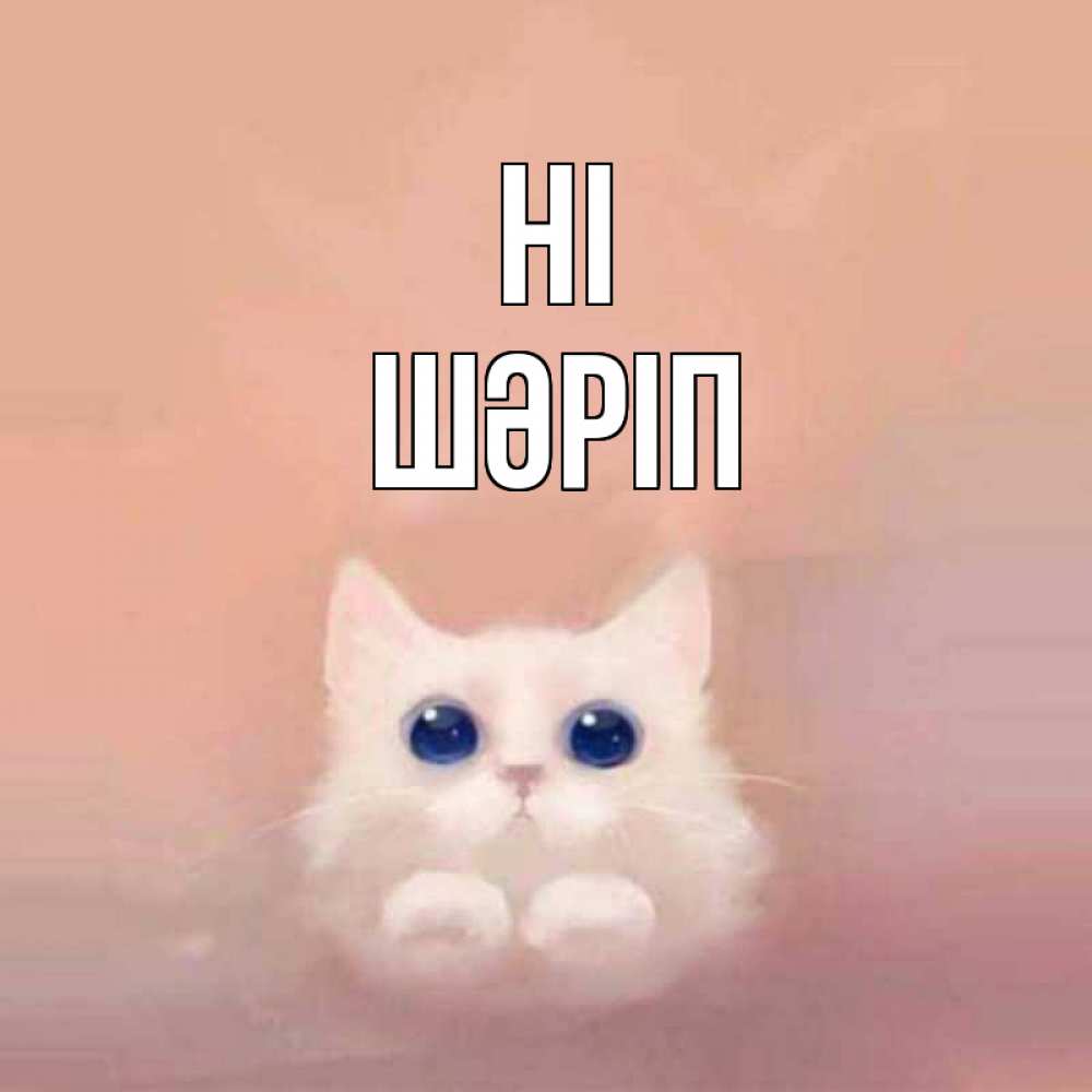 Greetings card с именем, ШӘРІП Hi котик белый в полете Greetings with text for free download 