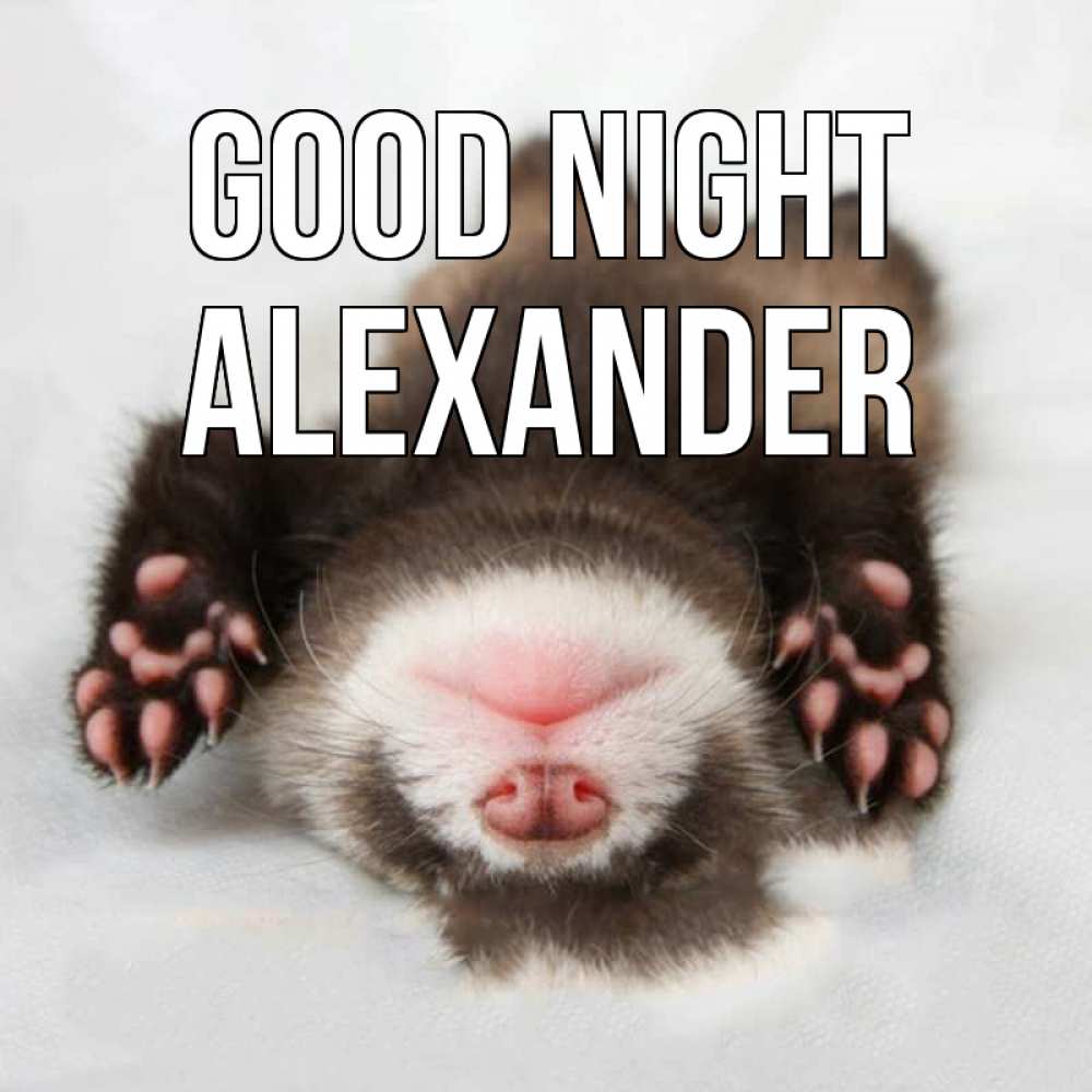 Greetings card с именем, Alexander Good night зверек Greetings with text for free download 