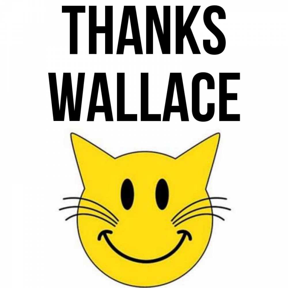 Greetings card с именем, Wallace Thanks улыбающийся смайл кот Greetings with text for free download 