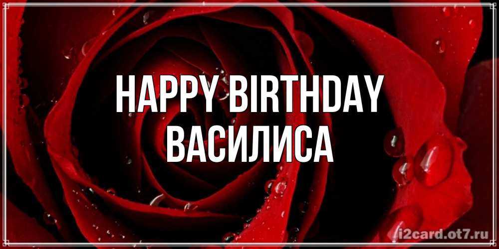 Greetings card с именем, Василиса Happy Birthday крупная бордовая роза Greetings with text for free download 
