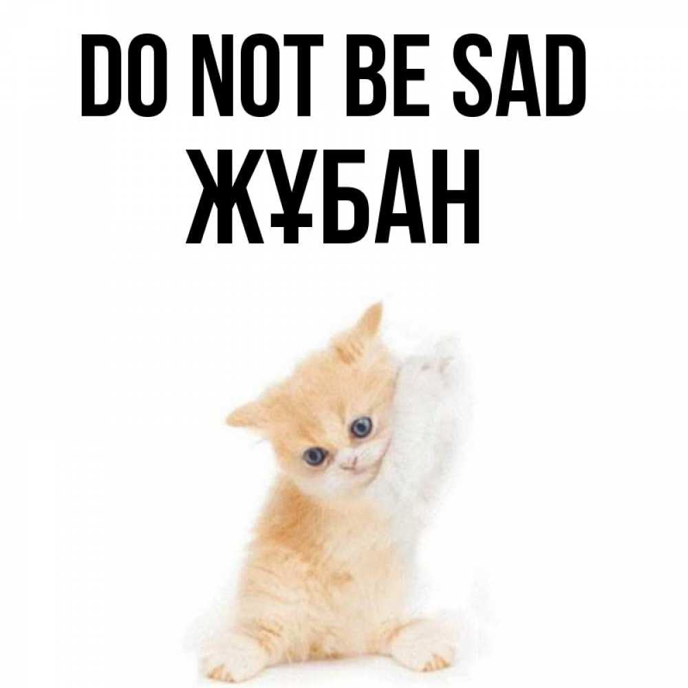 Greetings card с именем, Жұбан Do not be sad просящий кот Greetings with text for free download 