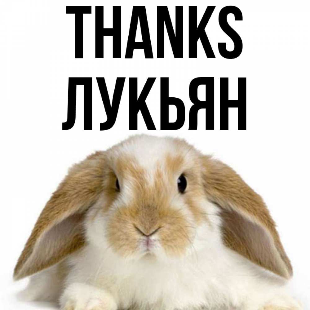 Greetings card с именем, Лукьян Thanks коричнево белый заяц Greetings with text for free download 