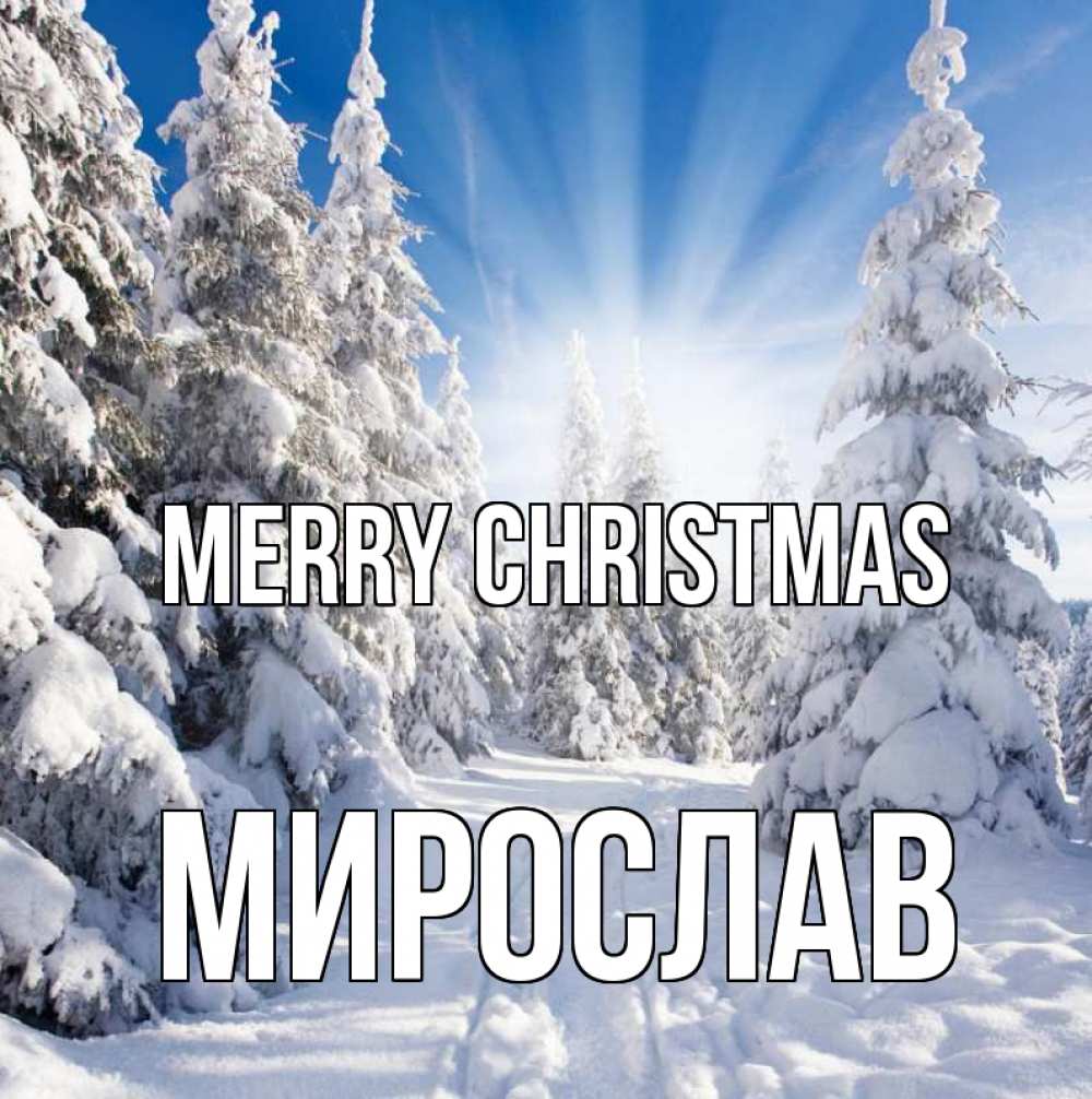 Greetings card с именем, Мирослав Merry Christmas зима, лес Greetings with text for free download 