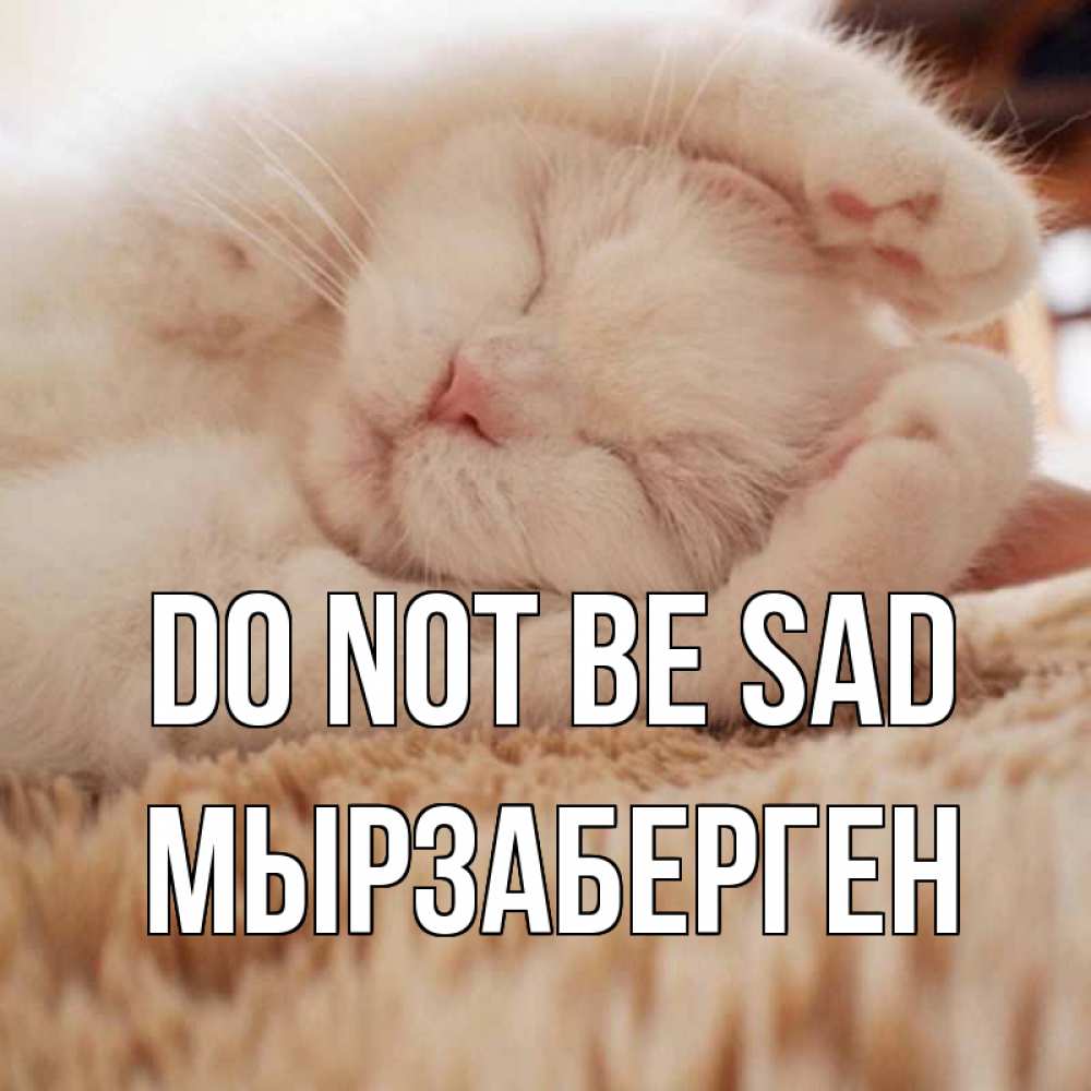 Greetings card с именем, Мырзаберген Do not be sad белый кот Greetings with text for free download 